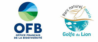 Parc naturel marin du golfe du Lion